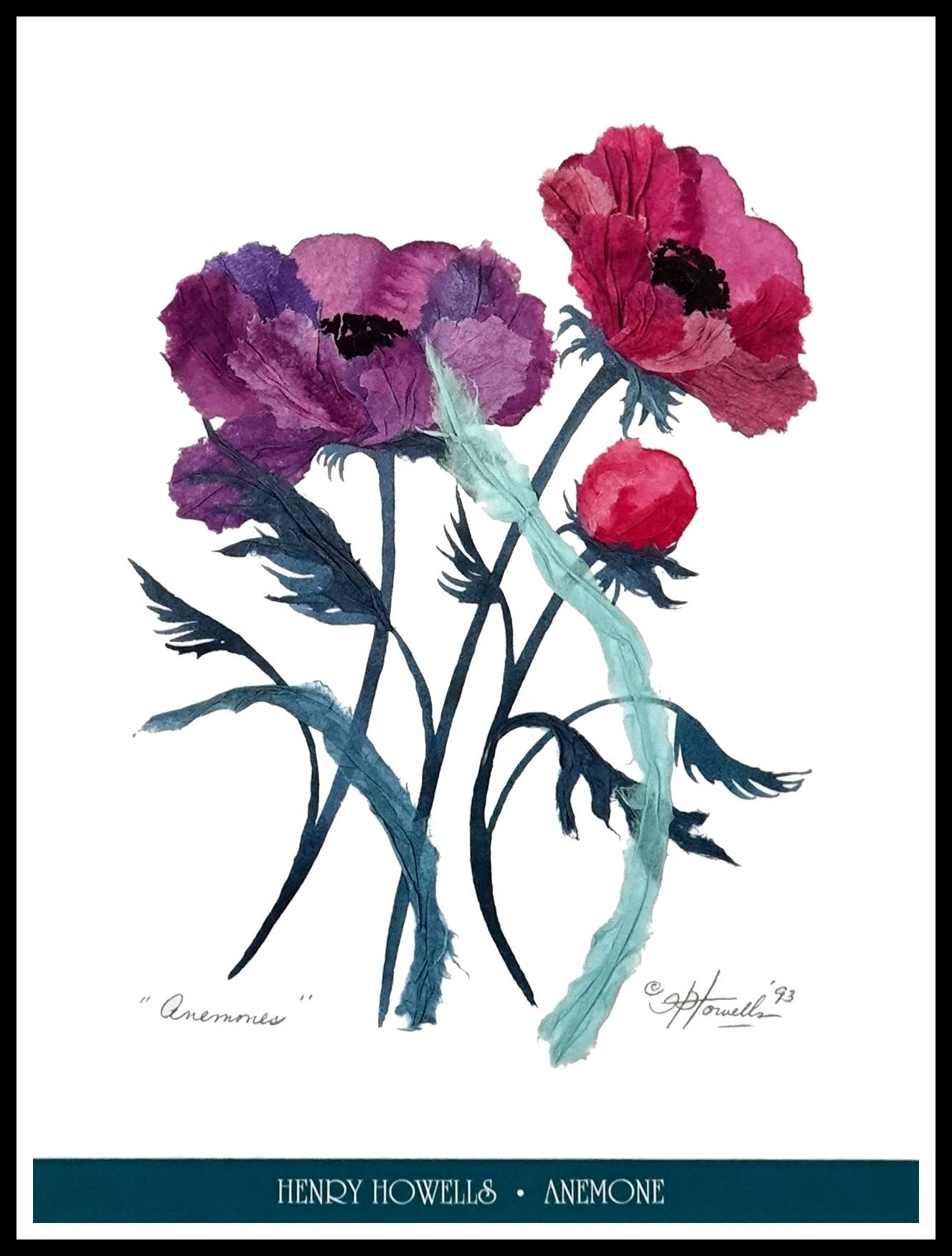 HHG HH067 Anemones